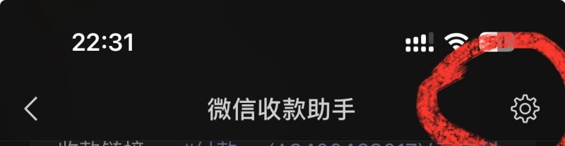 9.最新版微信/支付宝自挂APP教程/问题解决-云启智创